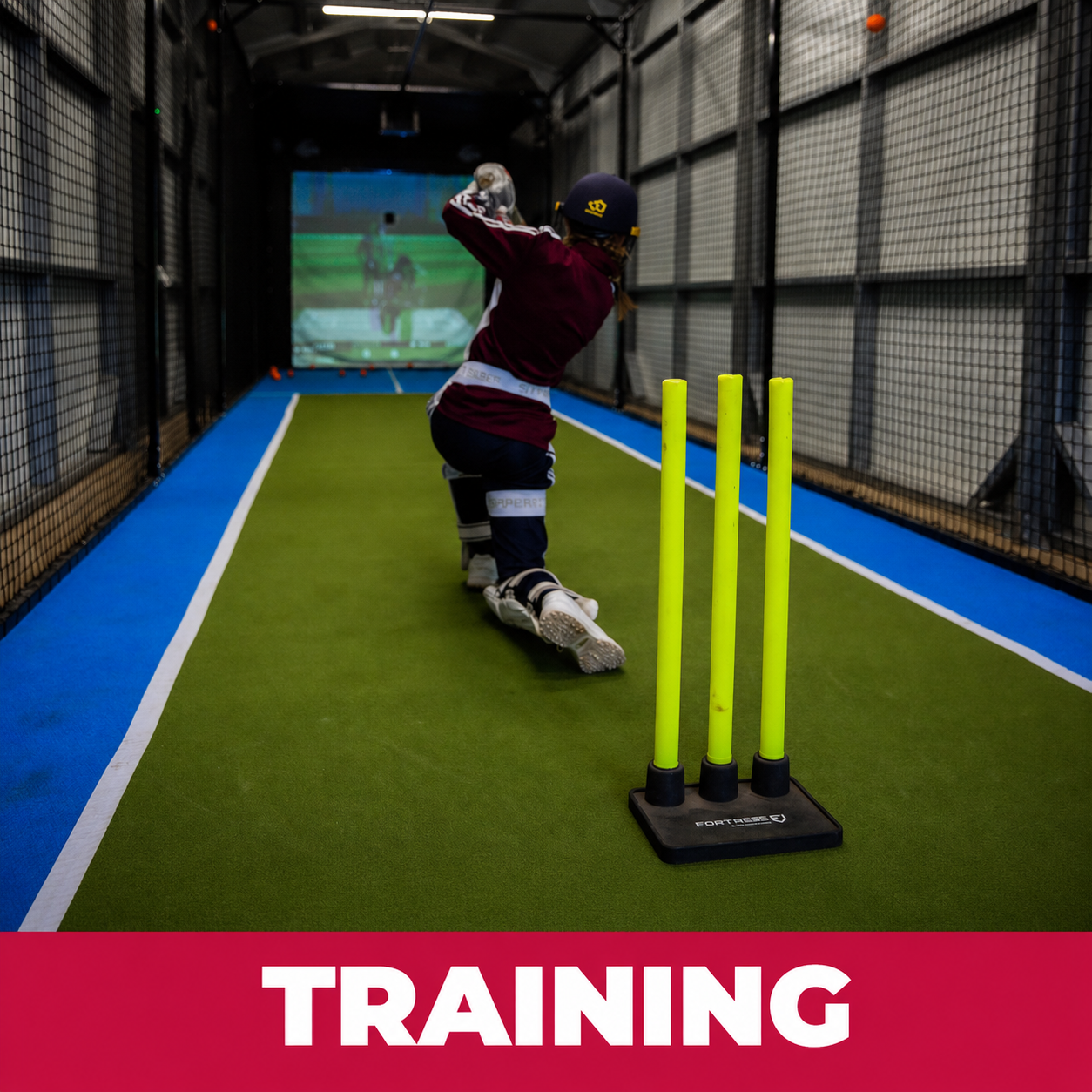 Cricket Simulators